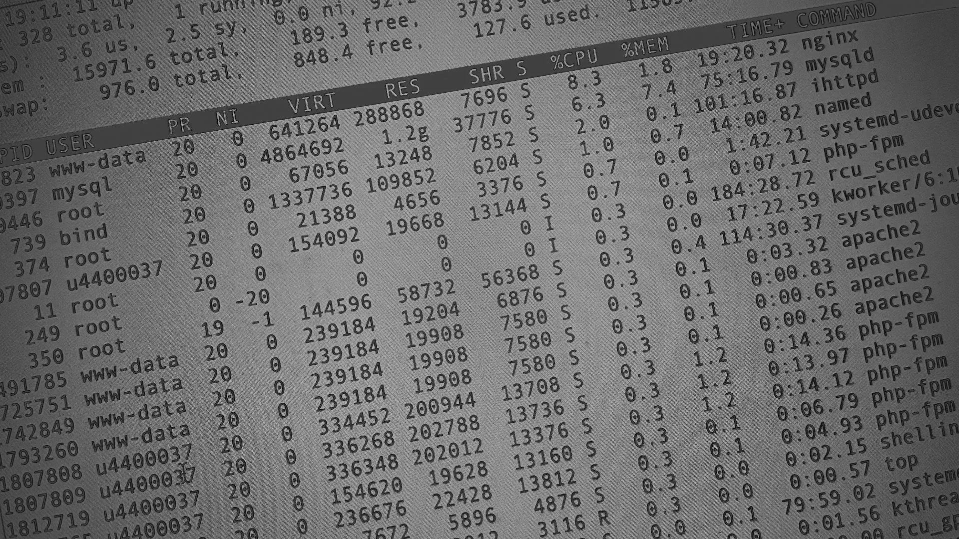 Настройка сервера в Кургане Настройка сервера в Кургане