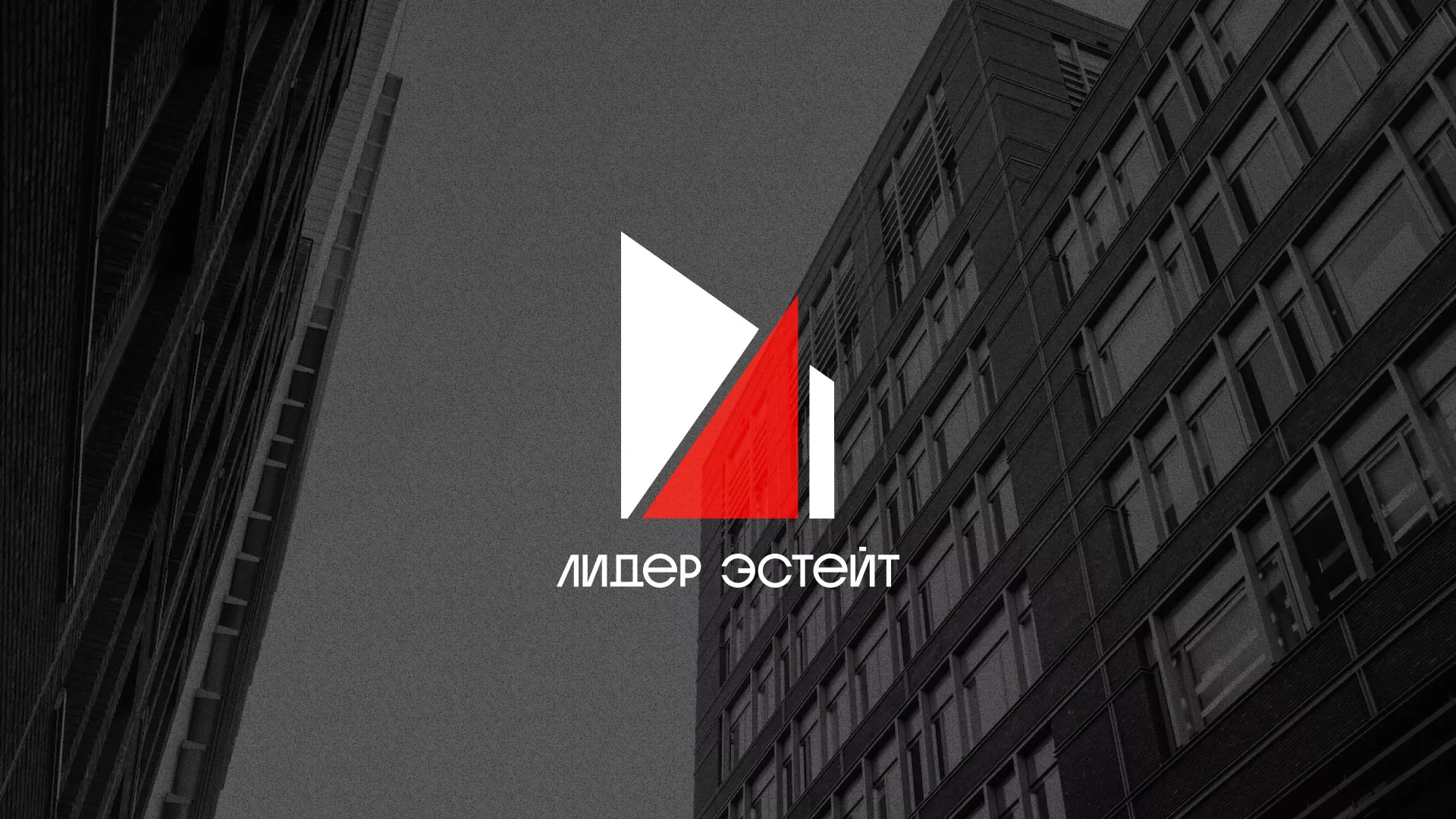 Сделали логотип для агентства недвижимости «Лидер Эстейт» в Кургане